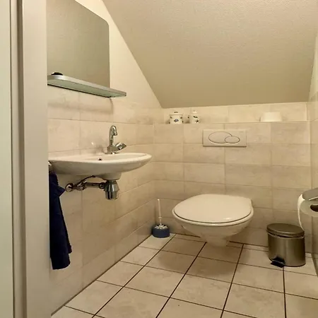 Lavish Close To Sea, Beach, Forest